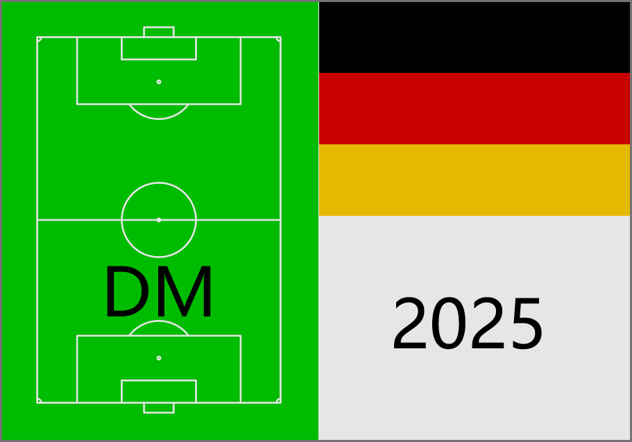 Du betrachtest gerade Beste defensive Mittelfeldspieler Deutschlands 2025